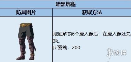 《塞尔达传说王国之泪》暗黑套装效果如何？暗黑套装获取及升级材料一览(图4)